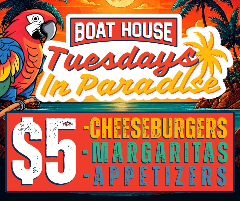 Tuesdays In Paradise